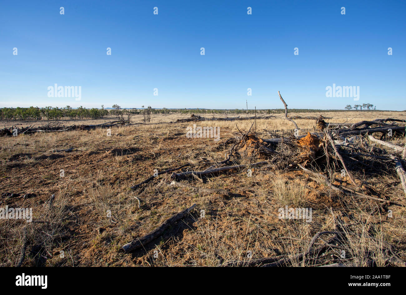 Vista de las tierras recientemente despejado de árboles, destacando la deforestación en Queensland, Australia Foto de stock