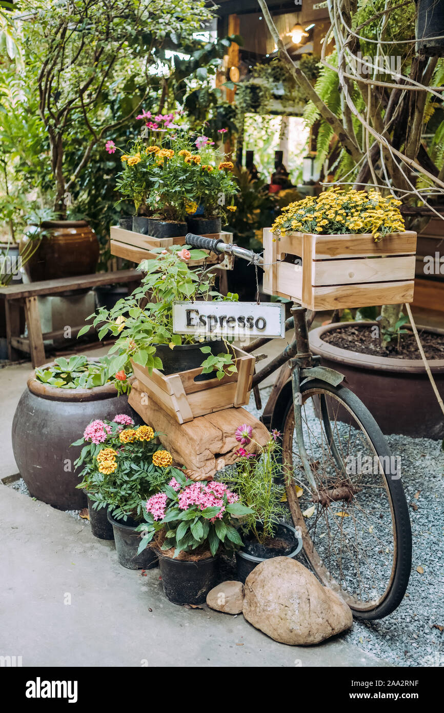 Vintage vieja bicicleta con plantas y flores, como una cafetería de  decoración Fotografía de stock - Alamy