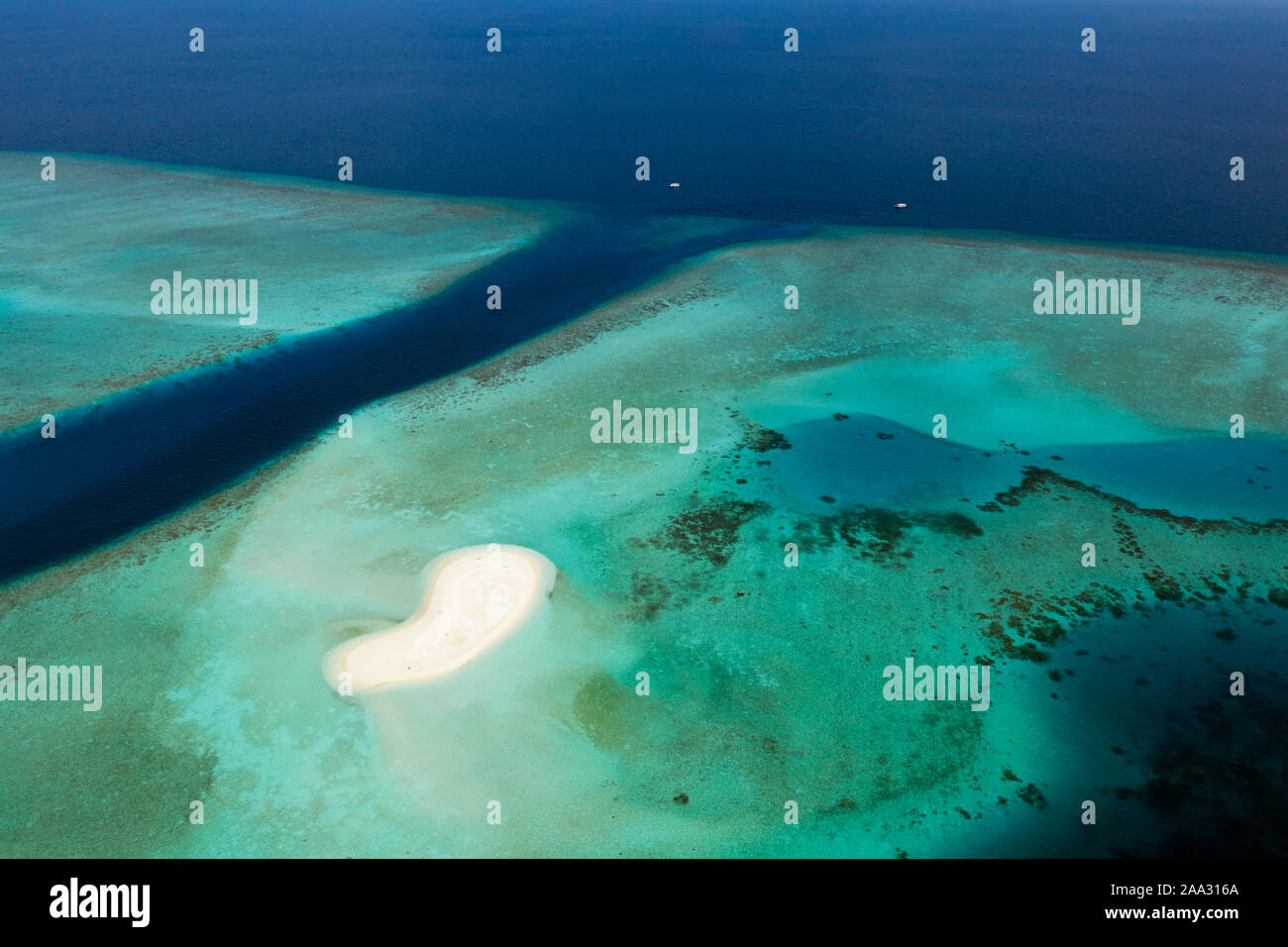 Buceo Fotteyo Spot Channel, Felidhu ATOLL, Maldivas, Océano Índico Foto de stock