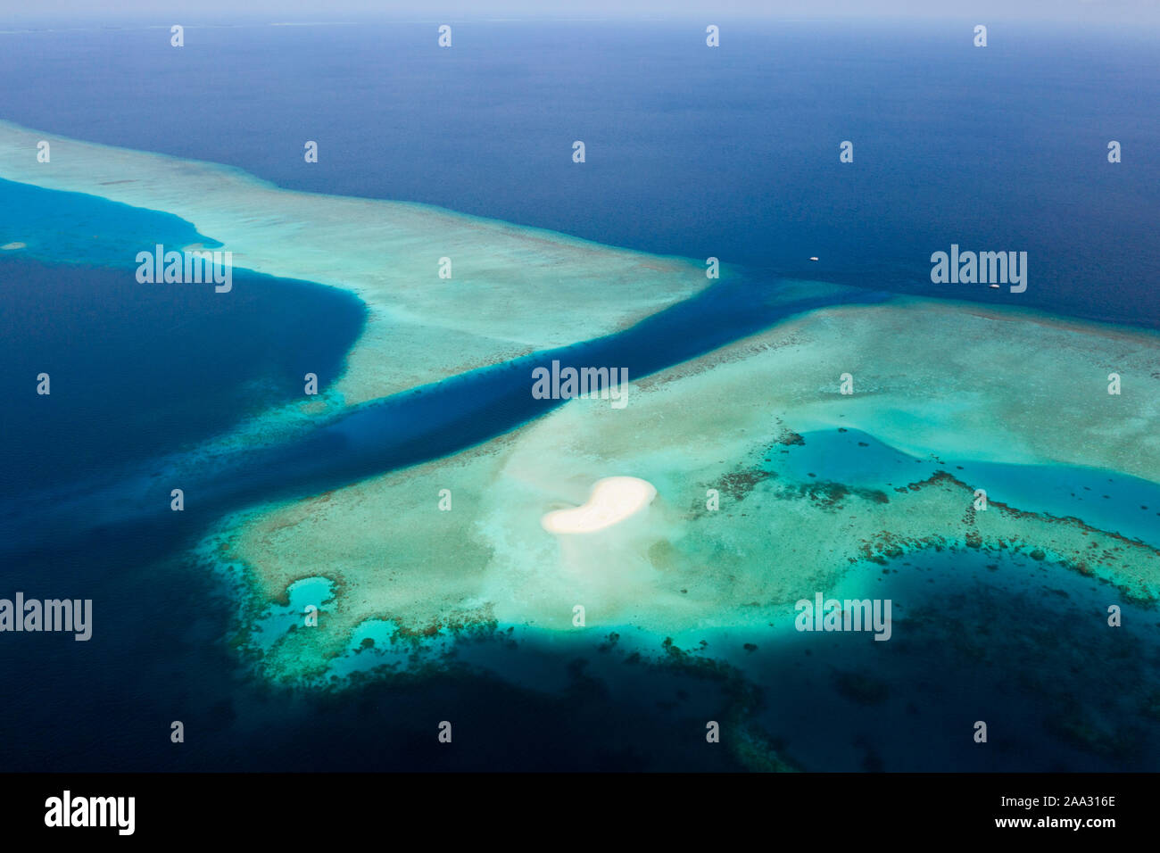 Buceo Fotteyo Spot Channel, Felidhu ATOLL, Maldivas, Océano Índico Foto de stock