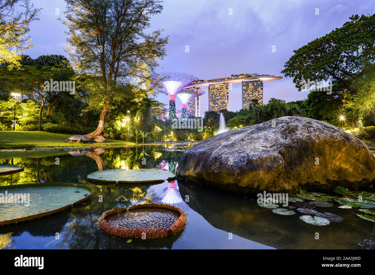 Impresionantes vistas de los jardines junto a la bahía con el Supertree Grove con el estanque de nenúfares en primer plano. Foto de stock