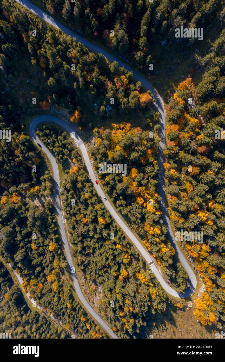 Vista aérea de automóviles circulando por una carretera serpenteante a través de un bosque de otoño, Salzburgo, Austria Foto de stock