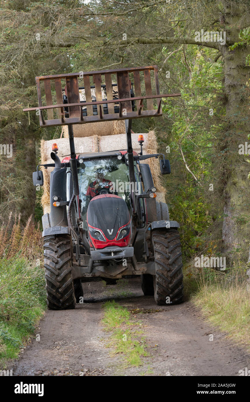Un agricultor con un tractor y un remolque lleno de pacas de paja hace su camino a través de árboles que bordean una pista agrícola Foto de stock