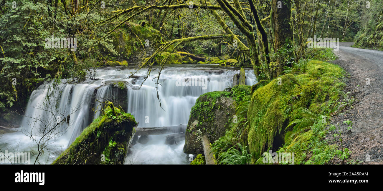 O: Coos County, rango de costa, antiguo Coos Bay Road, vagón Brewster superior Cañón. Oriente Brewster cae en el río Coquille East Fork. Muestra la antigua wag Foto de stock