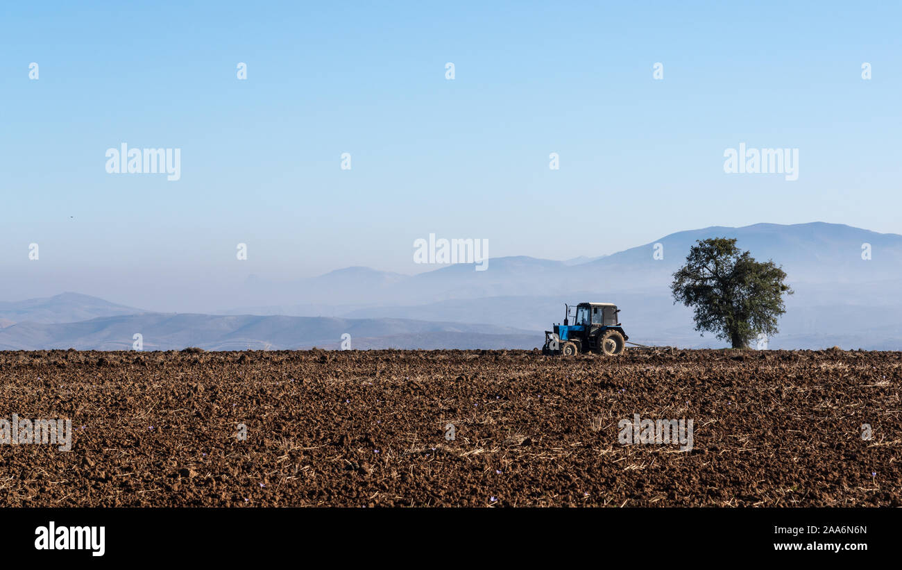 Arados Tractor un campo agrícola Foto de stock