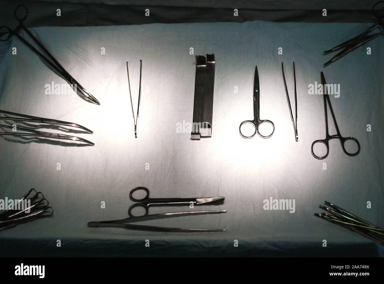 Los Veterinarios están utilizando cuchillos y tijeras para cortar un perro  de la herida. Cirujano en el trabajo en la sala de operaciones. La mano del  veterinario cirugía en sala de operaciones.