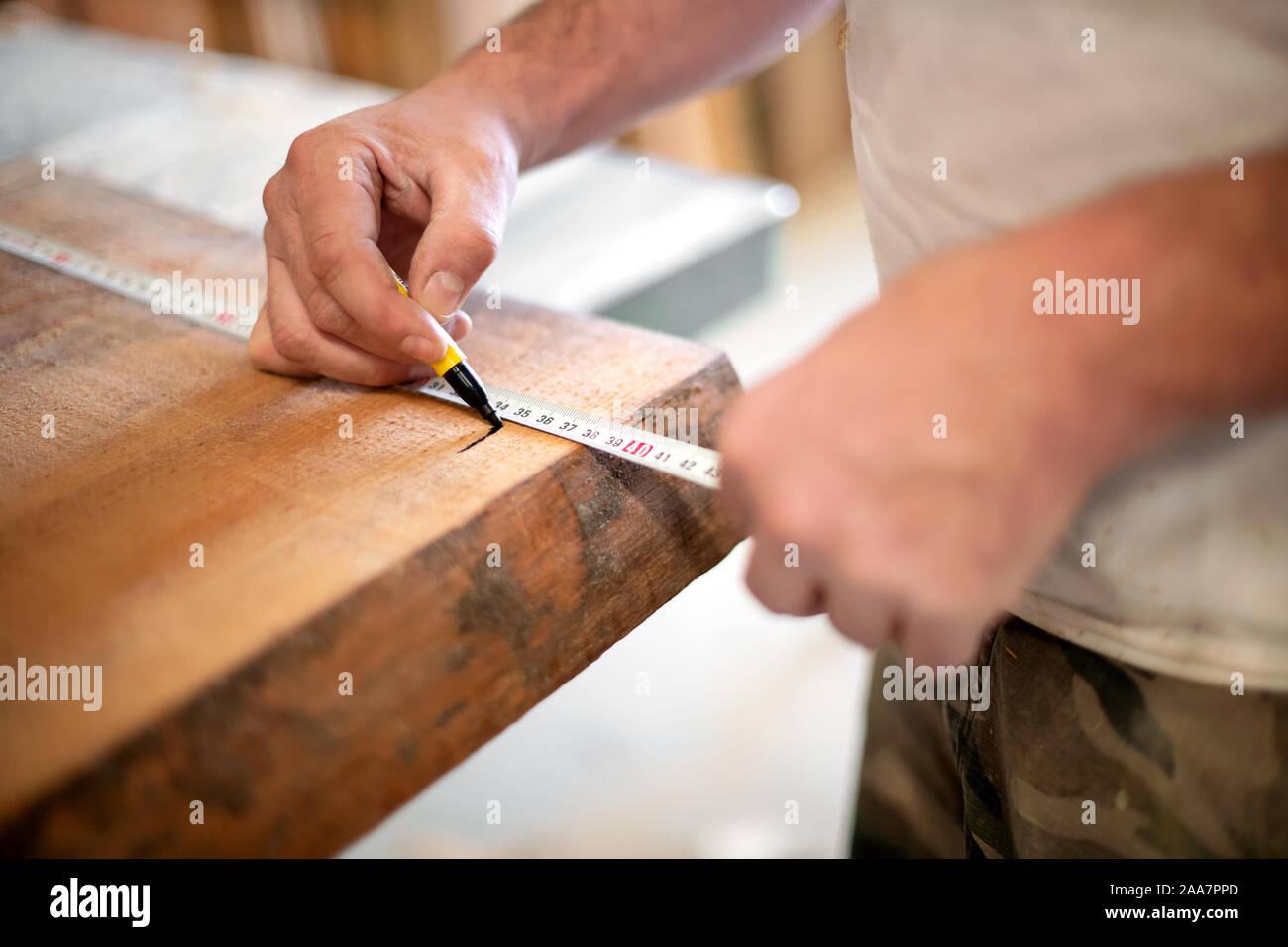Tallista tomando la medición con una cinta métrica marcando la longitud en un tablón de madera con un marcador en un primer plano de sus manos Foto de stock
