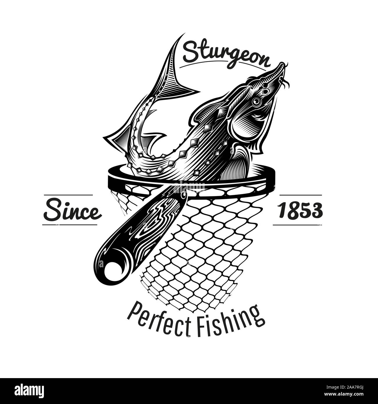 Cabeza de pez esturión de landing net en estilo de grabado. Etiqueta para la pesca o Pesca shop aislado en blanco Ilustración del Vector
