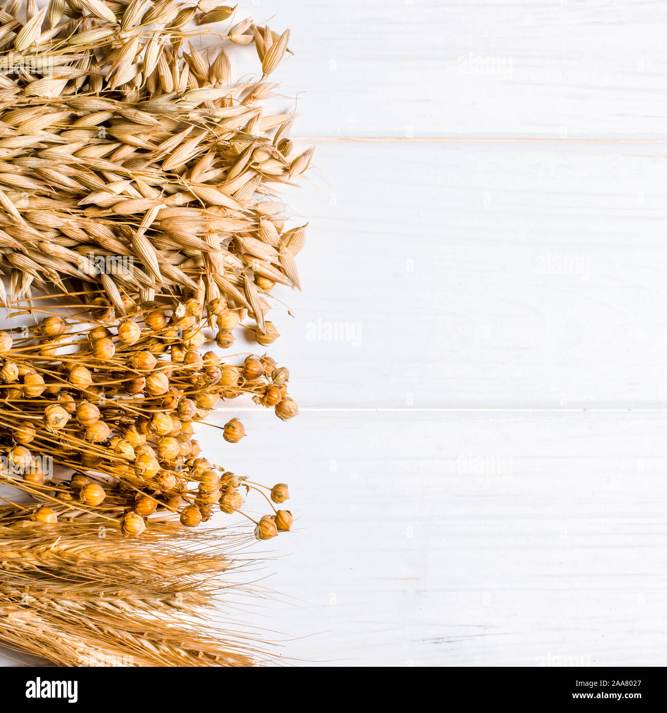 Imagen de espigas de madera sobre fondo blanco Fotografía de stock - Alamy