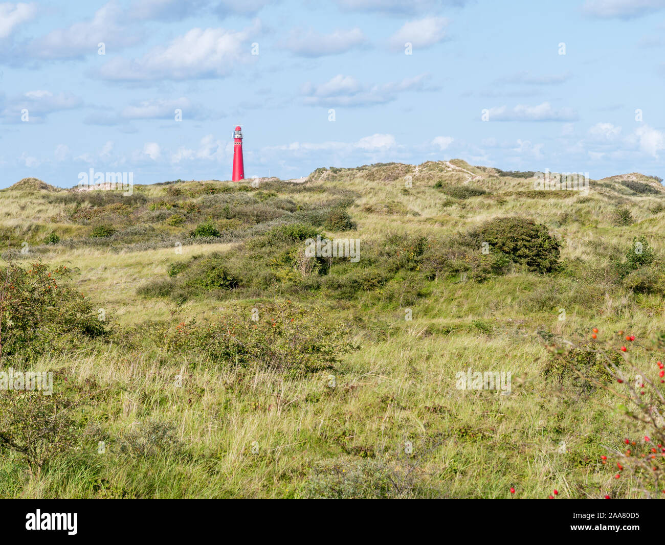 Faro en la torre norte Westerduinen dunas de isla frisona Schiermonnikoog, Holanda Foto de stock