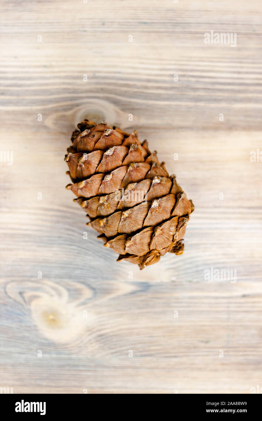 Cono de pino en la luz natural de fondo de madera blanqueada. El concepto de sano comer alimentos orgánicos, vegetariana. Vista desde arriba. Desenfoque selectivo. Shal Foto de stock