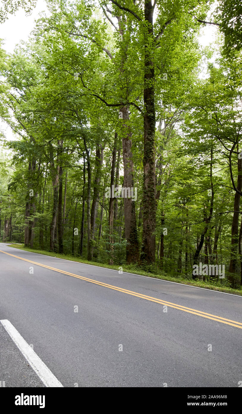 Vacíe parkway us 441 carretera a través del parque nacional Great Smoky Mountains National Park ee.uu. Foto de stock