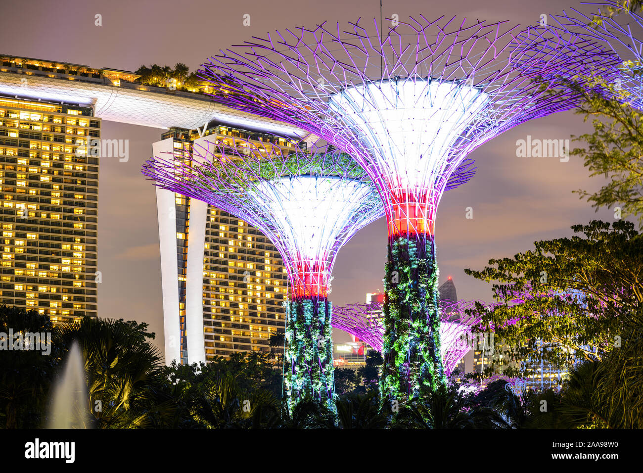 Vista cercana del iluminado Supertree Grove en Singapur. Foto de stock