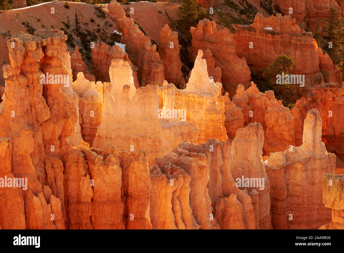 Ver en Bryce Canyon, Utah, EE.UU. Foto de stock