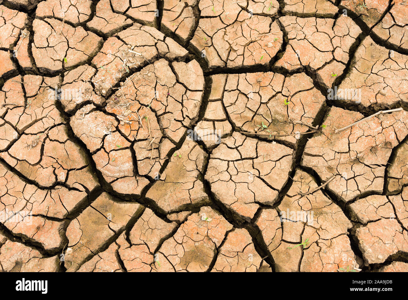 Lecho Seco de un lago, debido a la falta de lluvia que muestra la tierra agrietada seca, Kenia, África Oriental Foto de stock