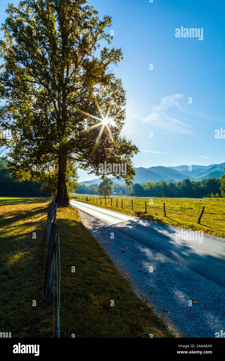 Aunque carretera Cades Cove en el Great Smoky Mountains National Park en Tennessee en los Estados Unidos Foto de stock