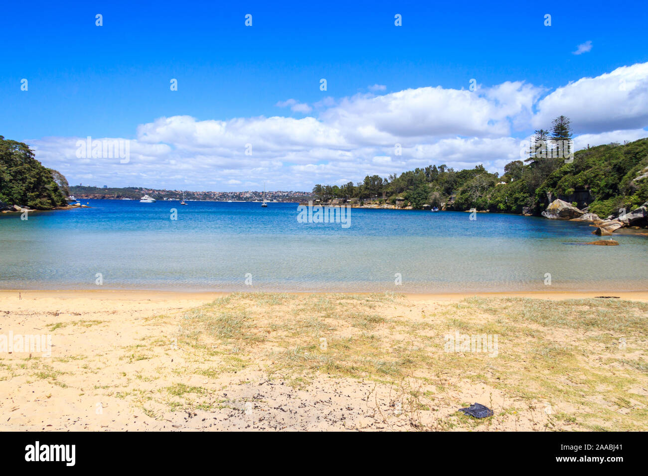 Collins playa plana, Parque Nacional del Puerto de Sydney Manly, Sydney, New South Wales, NSW, Australia Foto de stock
