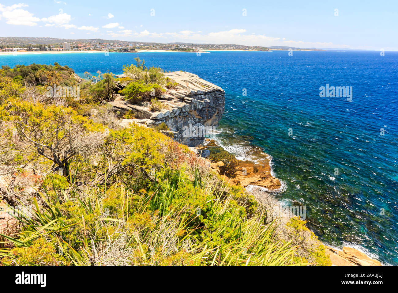 Un litoral accidentado, North Point, Manly, Puerto de Sydney, New South Wales, NSW, Australia Foto de stock