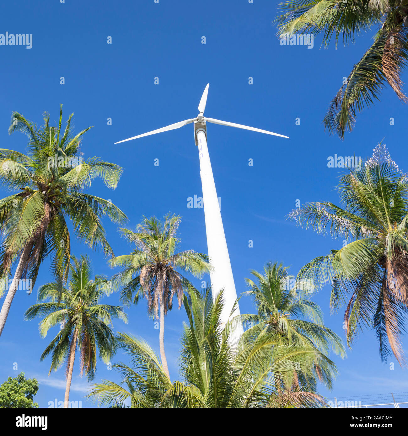 Aerogenerador rodeado por palmeras, Tailandia Foto de stock