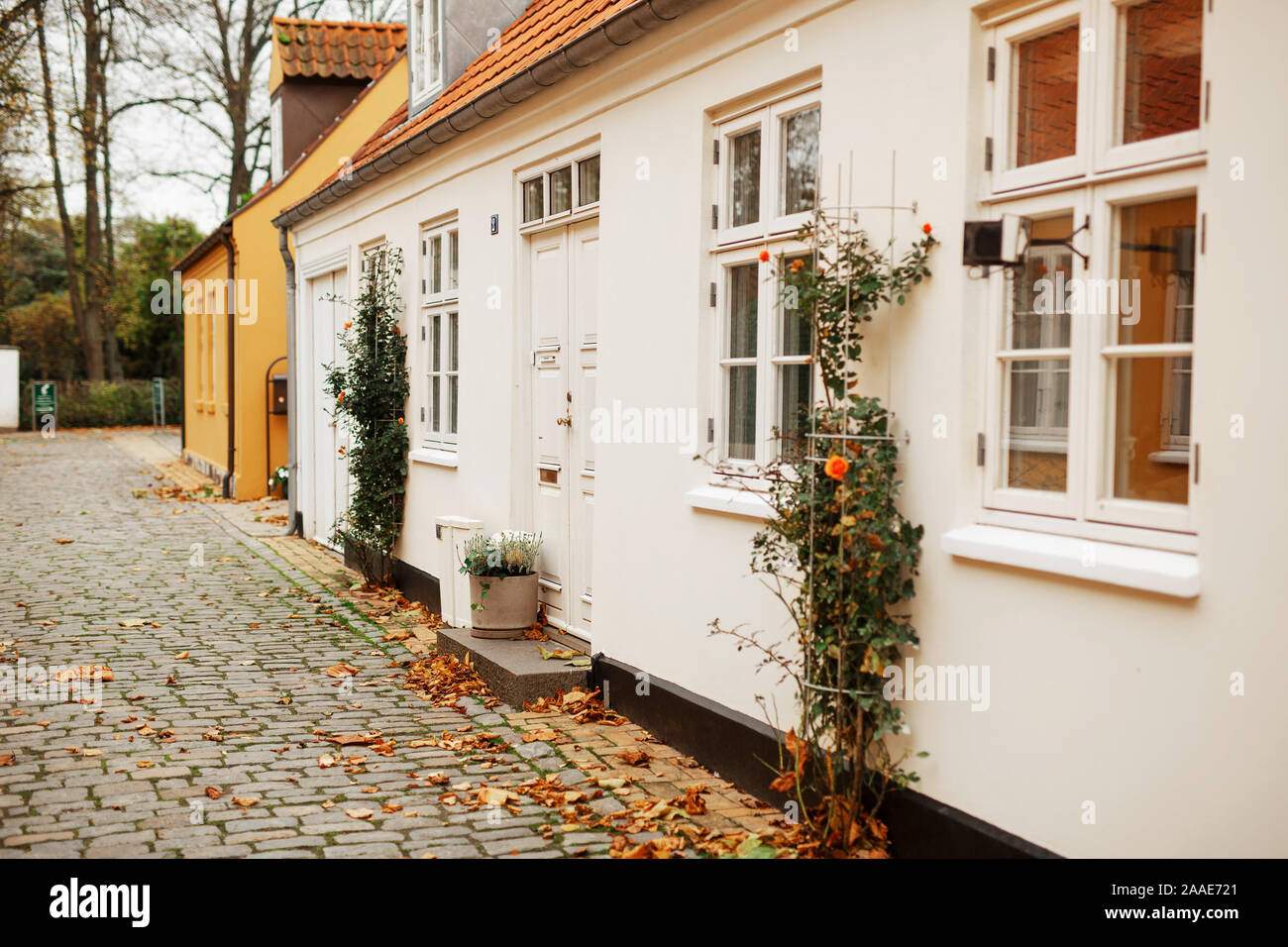 Danés de arquitectura y estilo de vida. Bonitas casas con techos de teja  roja, un patio, un cerco pequeño. Alojamiento en Dinamarca. Calle  tradicional y hermosas casas Fotografía de stock - Alamy