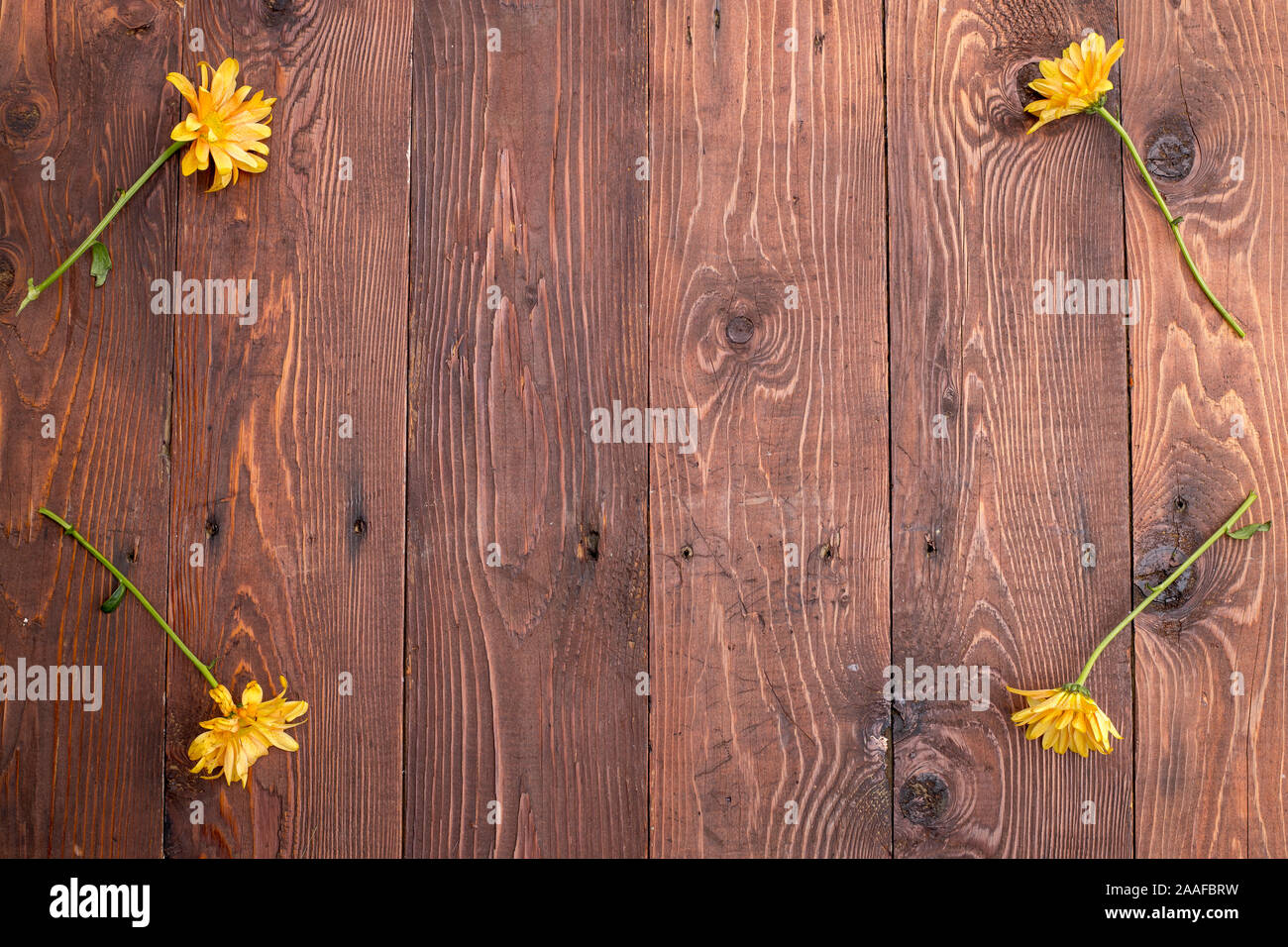 Un Fondo De Madera Antigua Con Una Flor En Cada Extremo Para Cuadros O Collages Fotografia De Stock Alamy