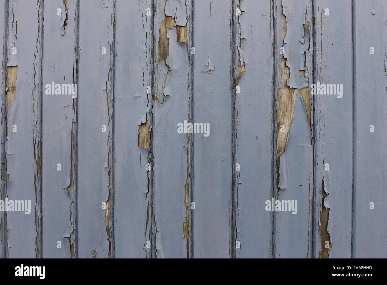 Primer plano de pared de madera con pintura azul claro pelando Foto de stock