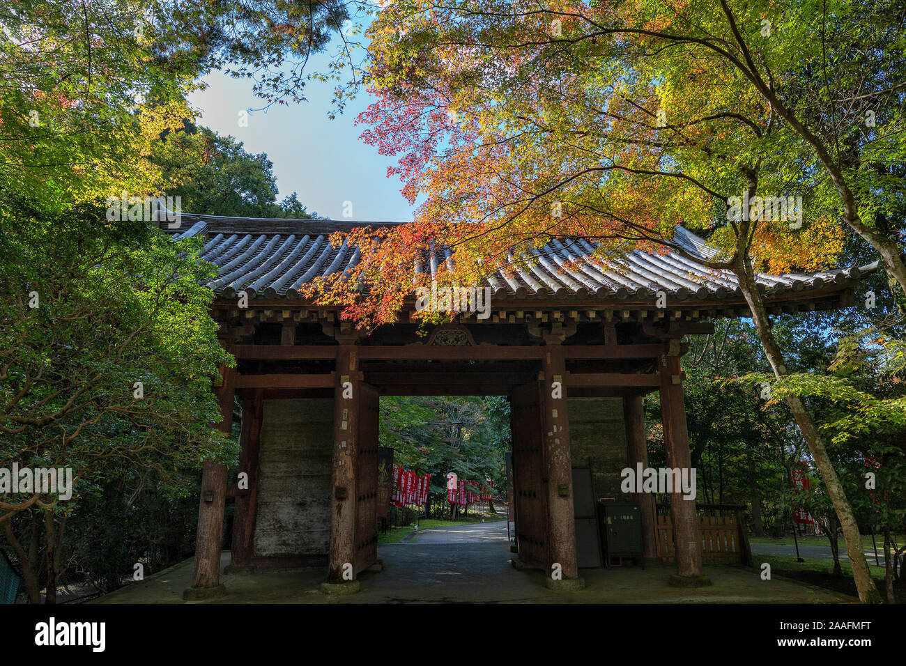 Templo Daigoji y arces en otoño Foto de stock