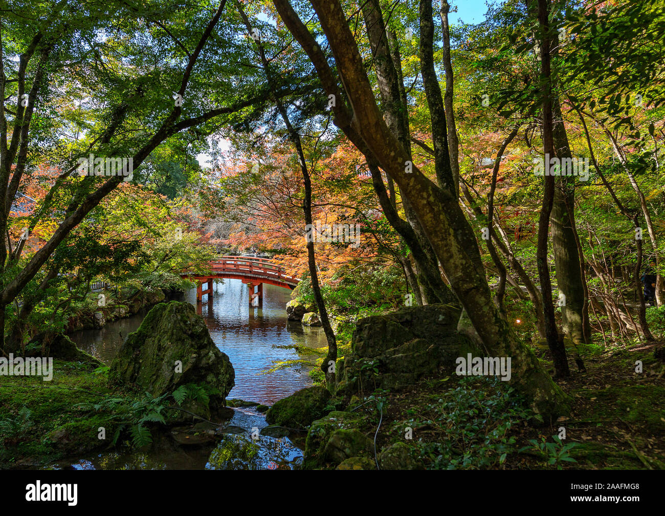 Templo Daigoji y el otoño los arces en Kioto Foto de stock