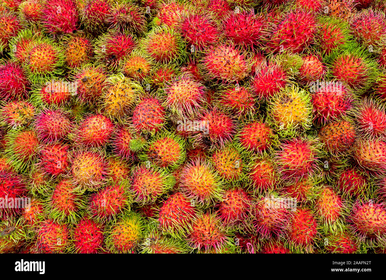 Cerrar Foto de rambutan frutas en el mercado asiático Foto de stock