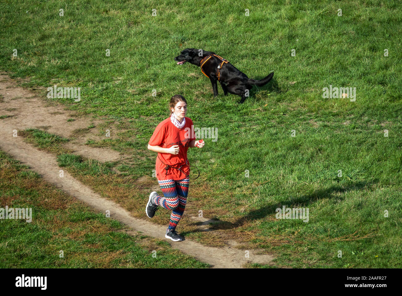 Mujer joven correr con perro, correr en el parque Foto de stock