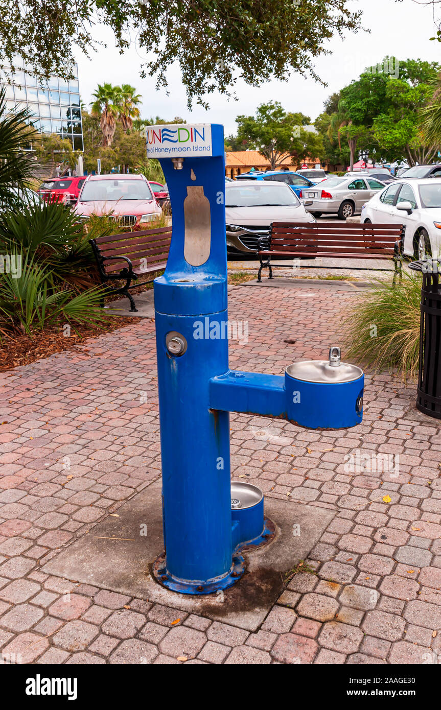 Una fuente de agua potable públicos azules, estación de llenado de botella y un cuenco para perros en un parque junto a un parking, Dunedin, Florida, EE.UU. Foto de stock