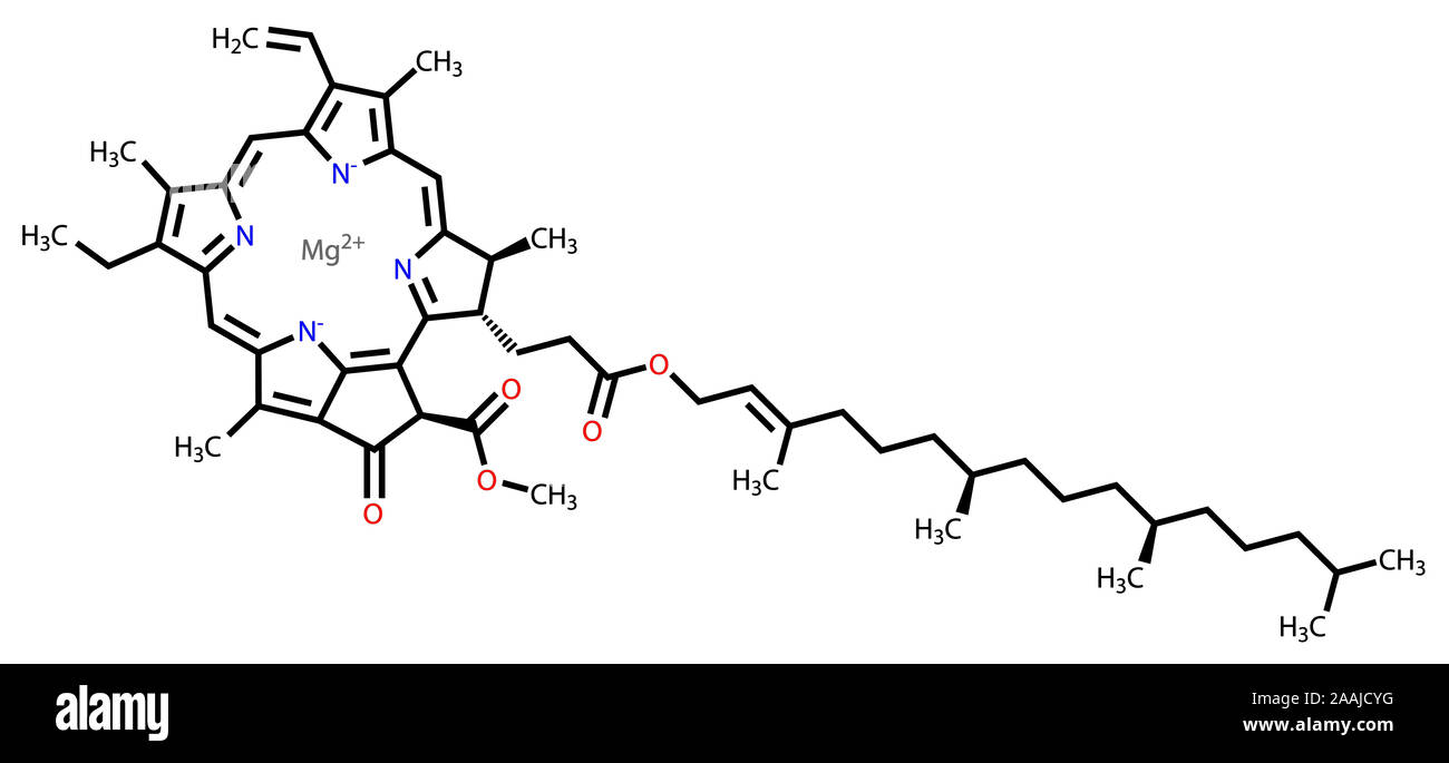 estructura de la clorofila b