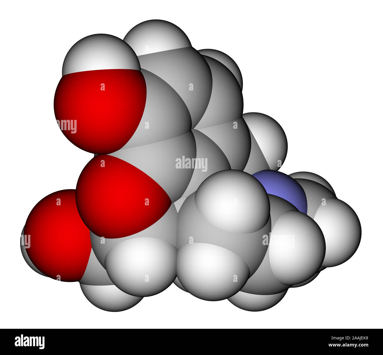 La morfina que llena el espacio modelo molecular Fotografía de stock
