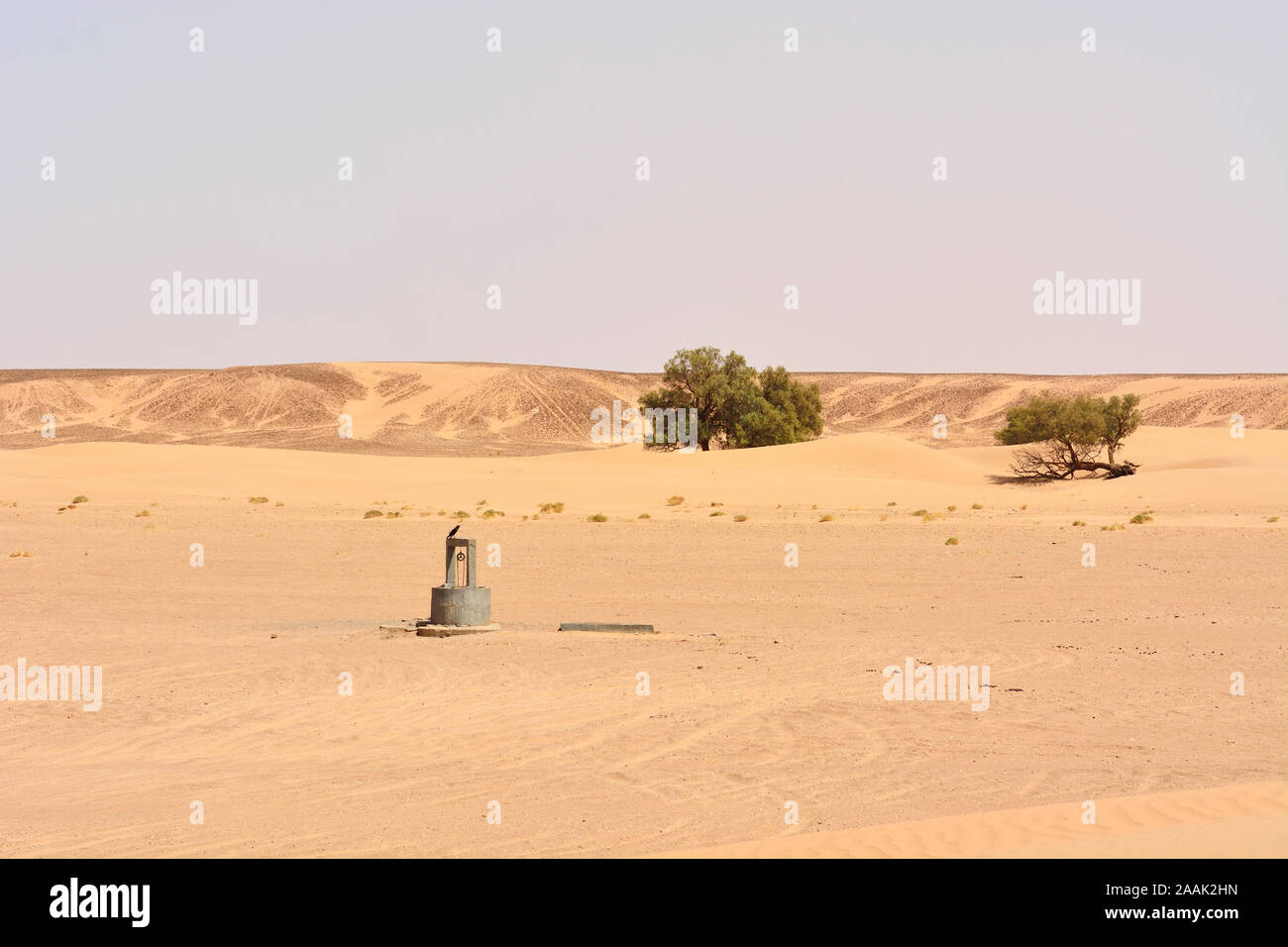 Pozo de agua en el desierto. Erg Chigaga, Marruecos Foto de stock