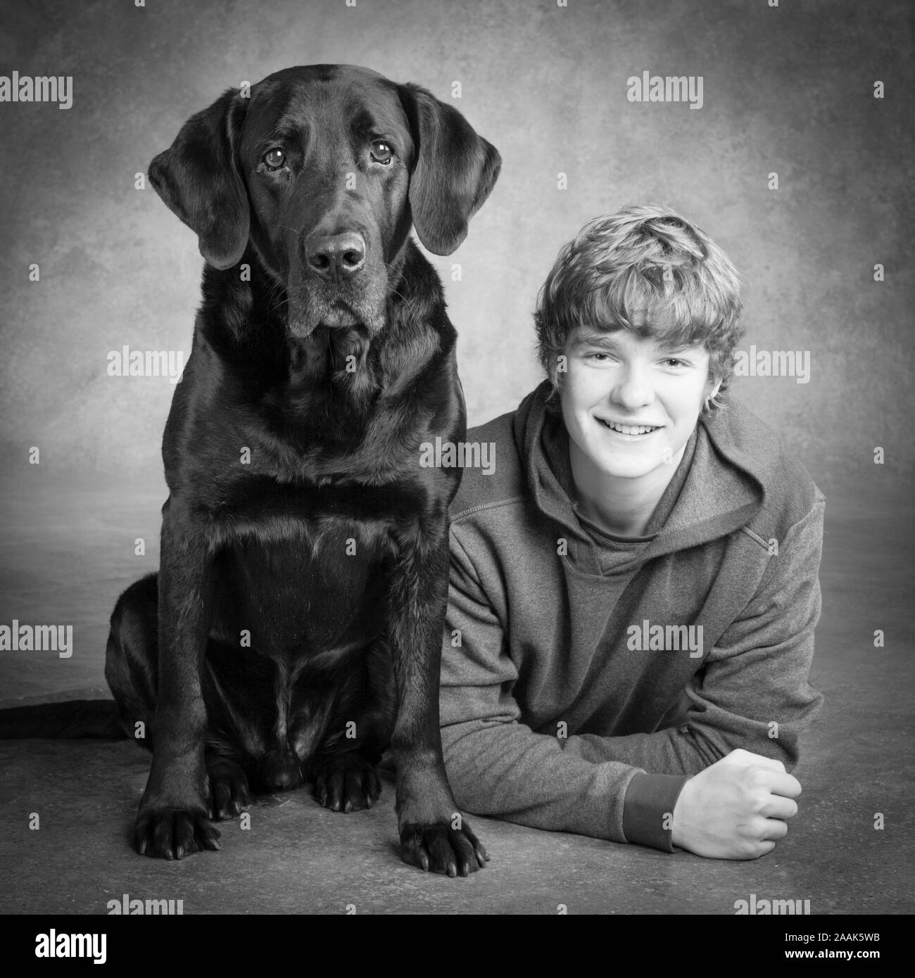 Retrato de estudio de adolescente con Labrador Gran Danes perro mezclado Foto de stock