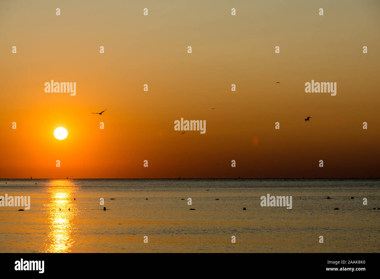 Tranquilo escenario de amanecer en el mar Foto de stock