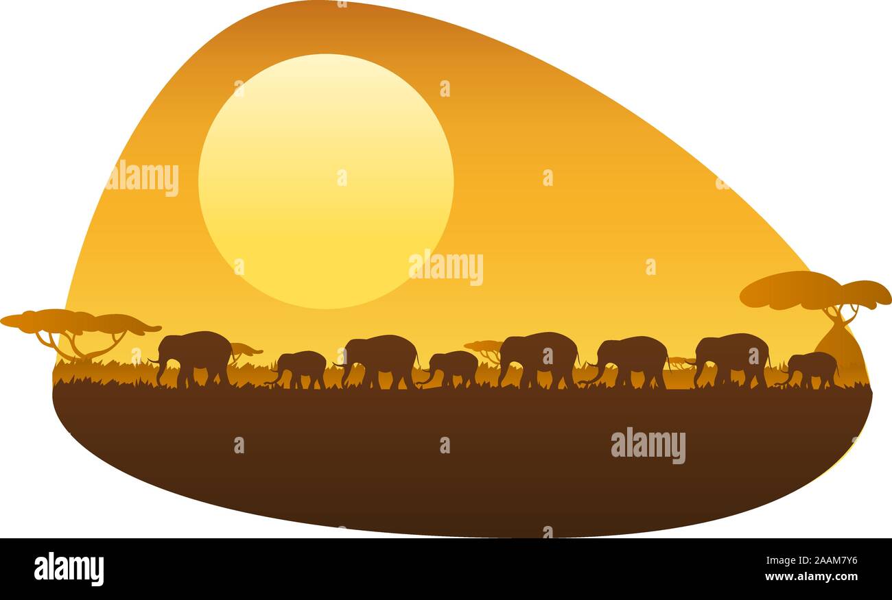 Grupo de elefantes caminando en el atardecer africano. Ilustración del Vector