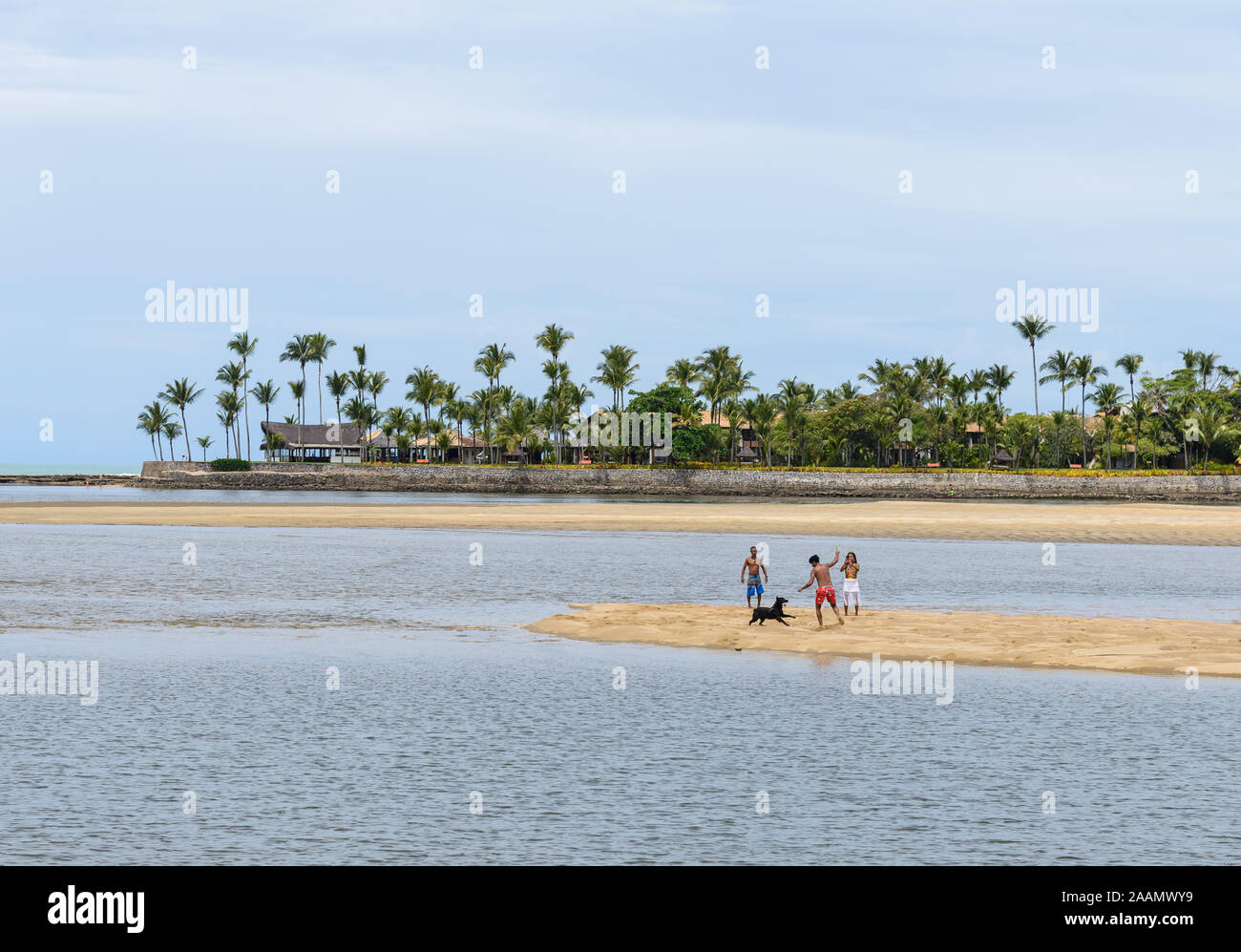 Un hombre y su familia jugando con su perro en una playa de arena. Porto Seguro, Bahia, Brasil, América del Sur. Foto de stock