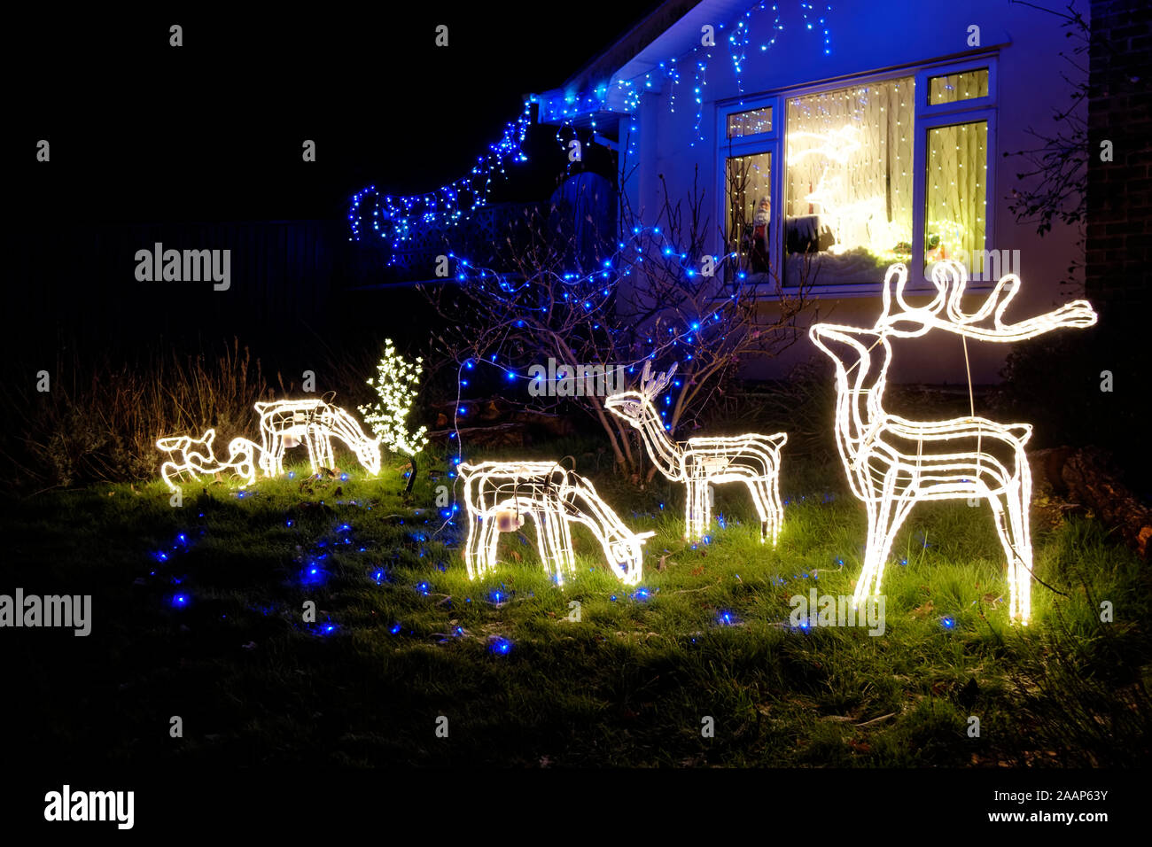 LED iluminado, decoración de jardines de Navidad Reno sobre el césped delante de un bungalow en Warminster, Wiltshire, Inglaterra Foto de stock