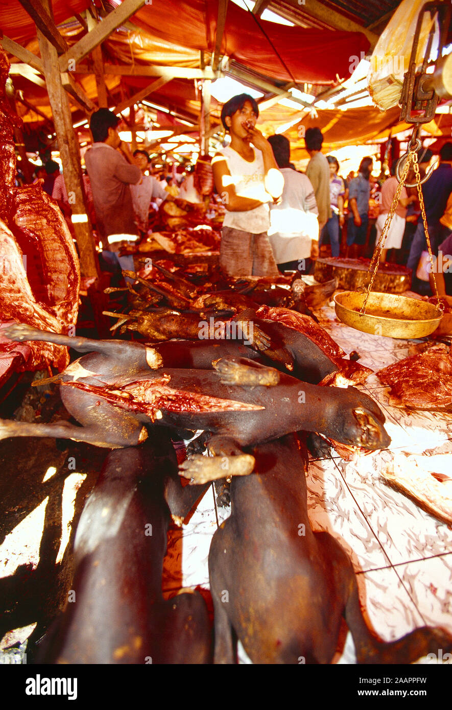 Indonesia. De Sulawesi. Tomoho. Los comerciantes del mercado de la carne y la carne. Foto de stock