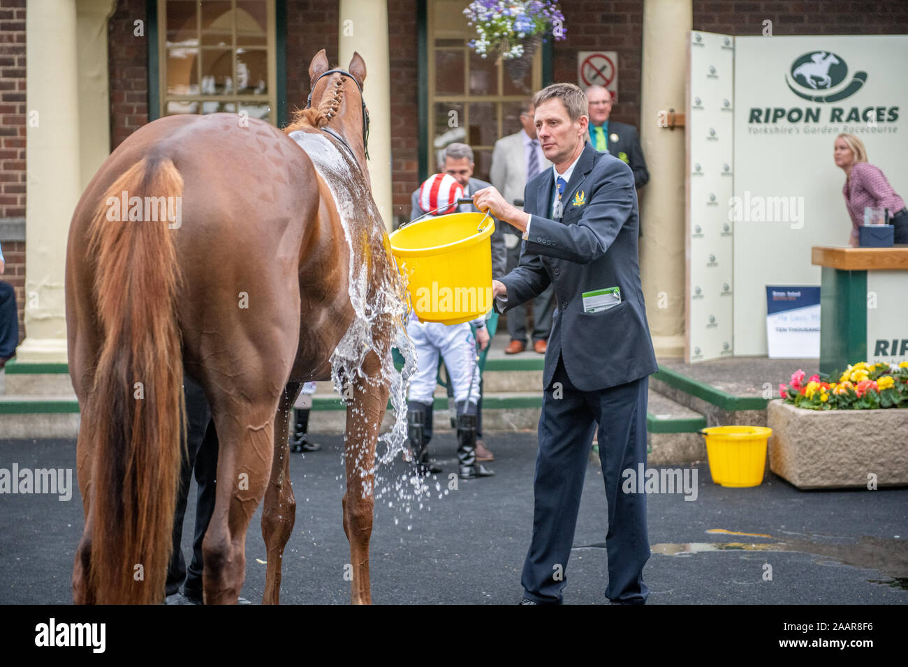 Celebrando en el Winner's Circle en Ripon , razas Yorkshire UK Foto de stock