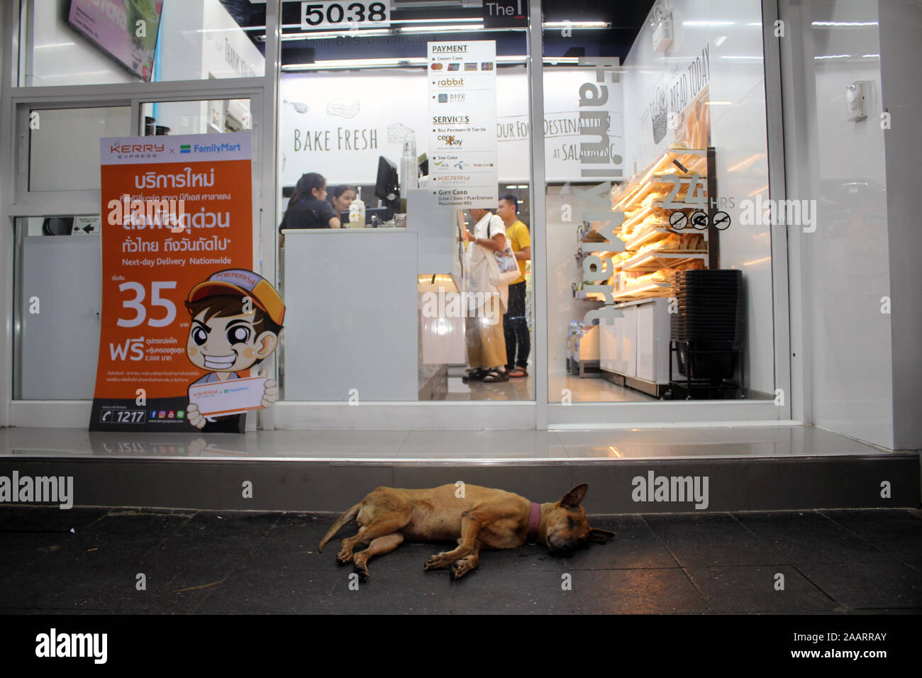 Perro fuera de panadería en Bangkok, Tailandia Foto de stock