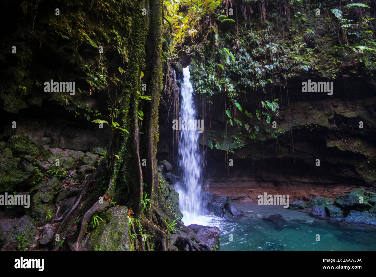 Vista panorámica de la bella cascada que cae en la Emerald Pool, Dominica, Caribe Foto de stock