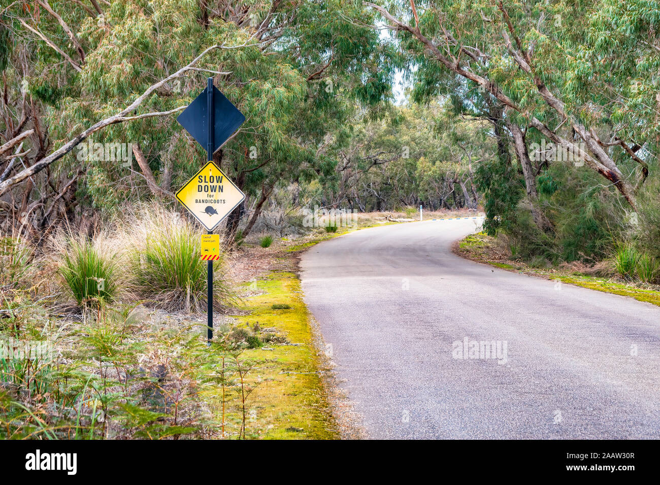 Signo de cruce Bandicoots por carretera en medio de árboles, Victoria, Australia Foto de stock