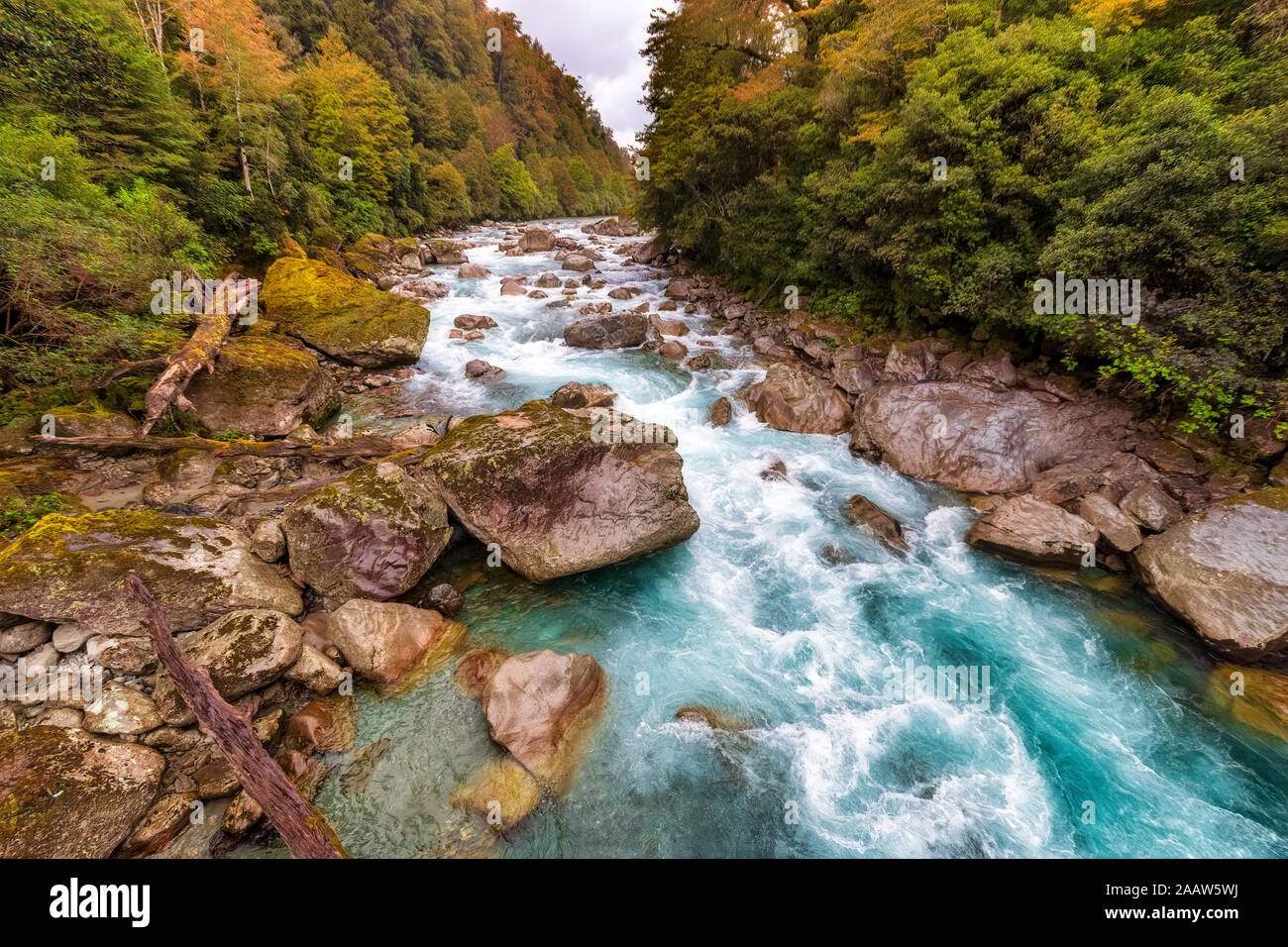 Moraine Creek, el Parque Nacional Fiordland, Isla del Sur, Nueva Zelanda Foto de stock