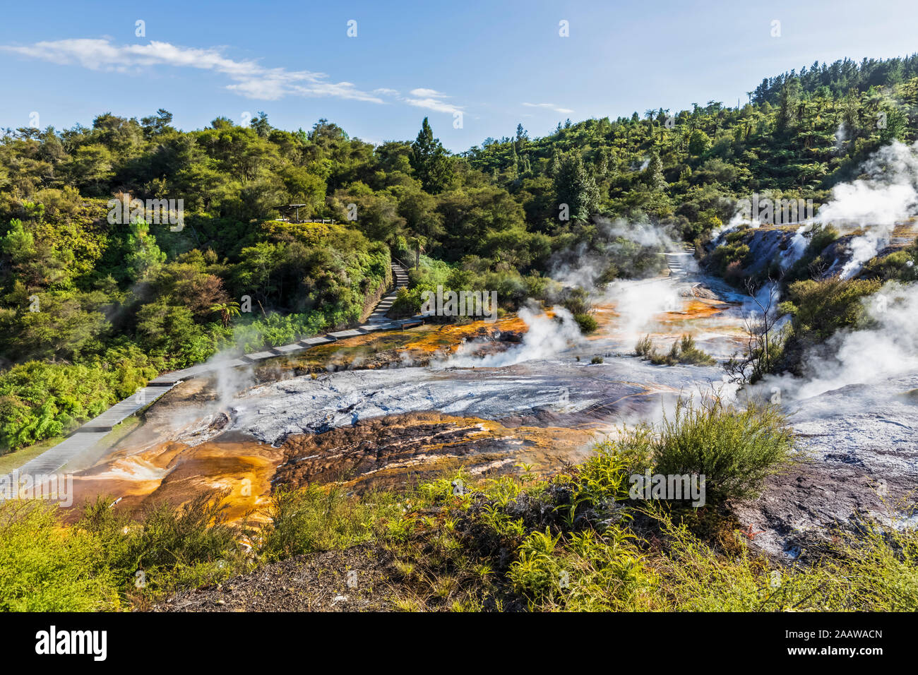 Terraza en cascada, Termas y algas y Esmeralda Terracettes Terraza, Orakei Korako Parque geotérmico, Zona Volcánica Taupo, Isla del Norte, Nueva Zelanda Foto de stock