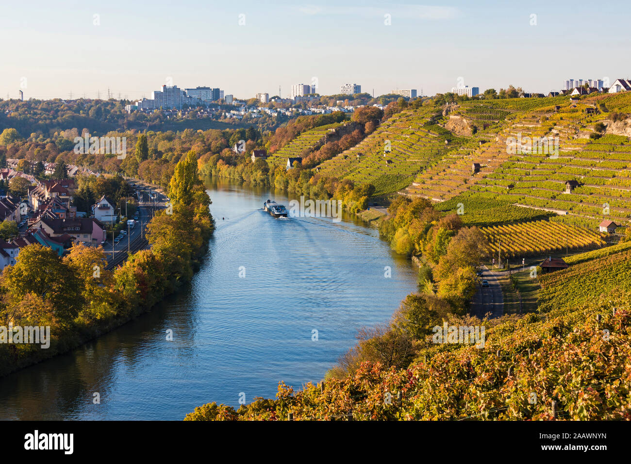 Viña por el río Neckar, en la ciudad de Stuttgart, Baden-Württemberg, Alemania Foto de stock