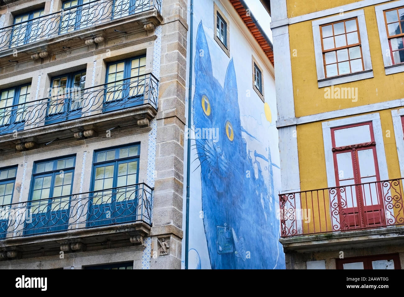 Portugal, Porto, Cat mural sobre townhouse muro visto desde abajo Foto de stock