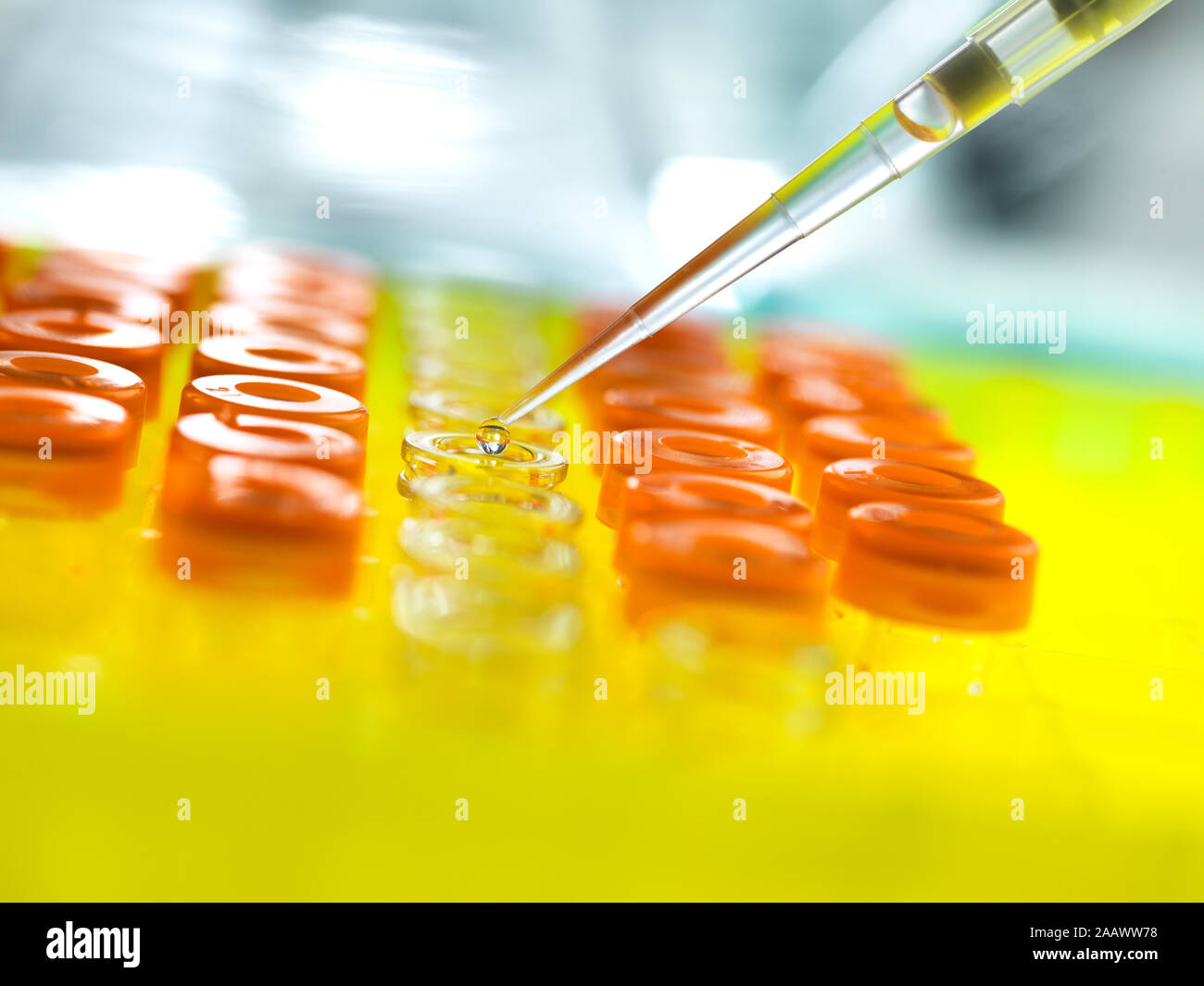 Close-up de verter en los frascos de muestras para análisis en laboratorio Foto de stock
