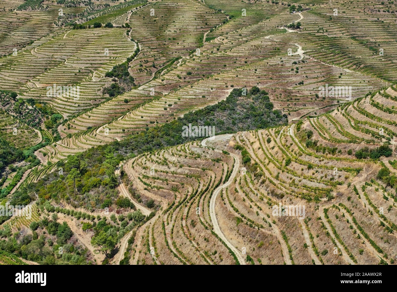 Portugal, el Duero, el valle del Douro, región vinícola visto desde arriba Foto de stock